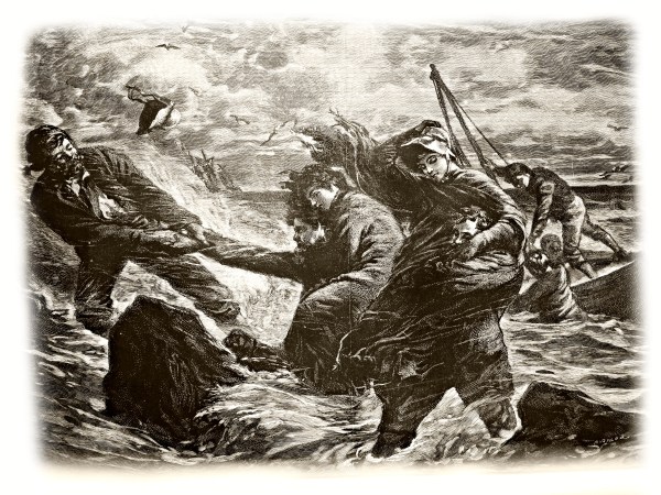 2016113018052152-IMG_8968