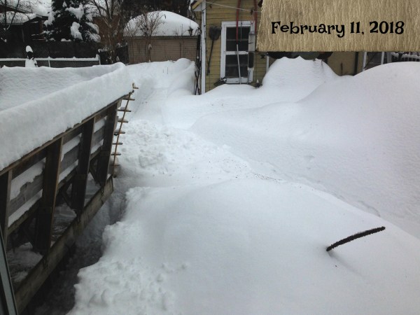 2018021115592426-IMG_2226