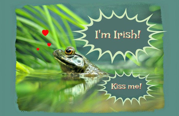 20160202-DSC_2720 (2)